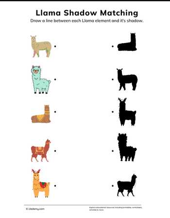 Llama Shadow Matching