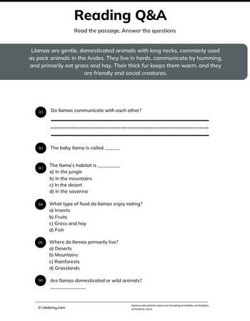 Read and Answer- Llama