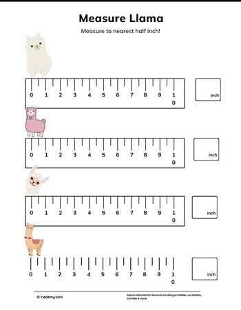 Measure It - Llama