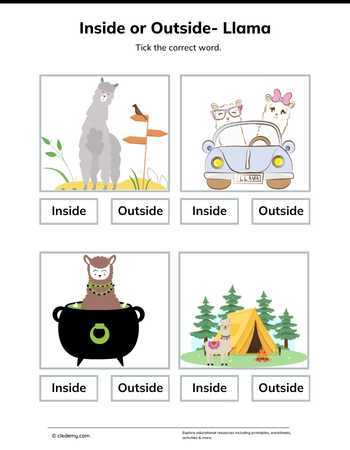 Inside or Outside- Llama