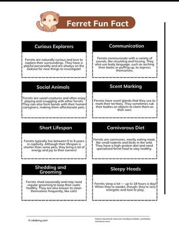 worksheet