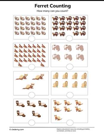 Ferret Counting
