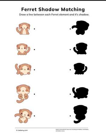 Ferret Shadow Matching