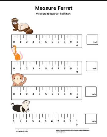 Measure It - Ferret
