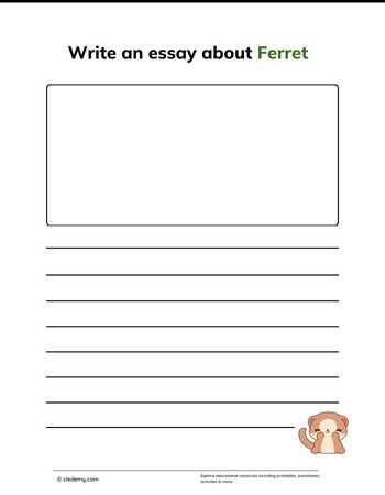 Write an Essay About Ferret