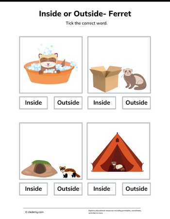Inside or Outside- Ferret