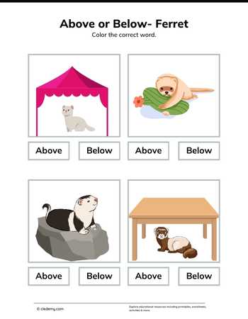 worksheet