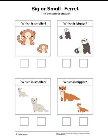 Big or Small- Ferret