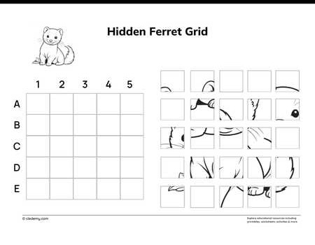 Hidden Ferret Grid