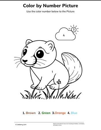 Color by Number Ferret