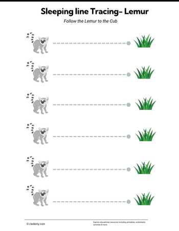 Trace Lemur In Horizontal Line