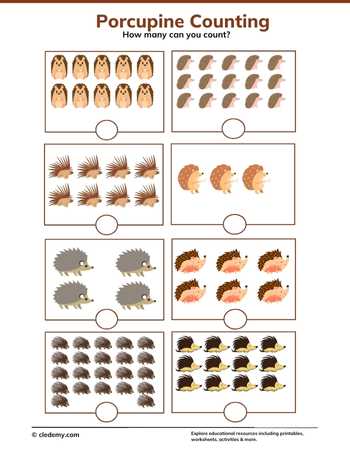 Porcupine Counting