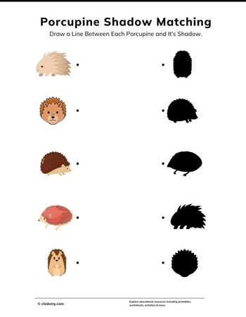 Porcupine Shadow Matching