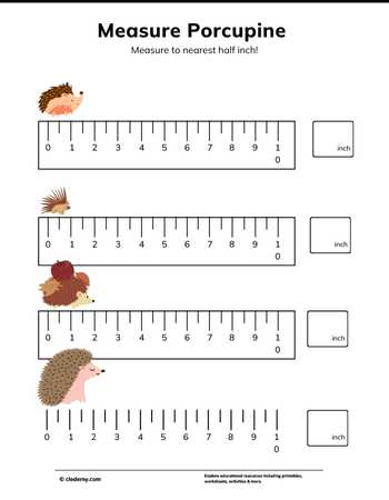 Measure It - Porcupine