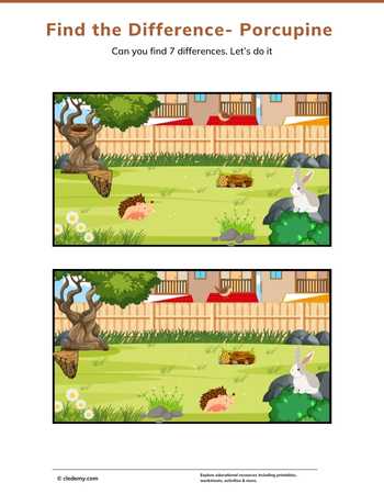 Find the Difference- Porcupine