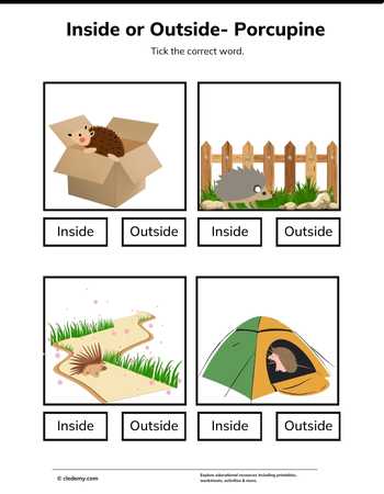 Inside or Outside- Porcupine