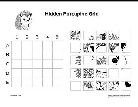 Hidden Porcupine Grid