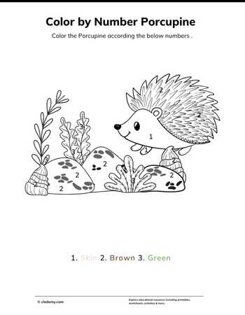 Color by Number Porcupine