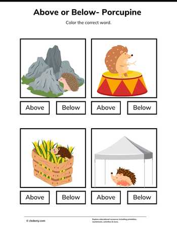 Above or Below- Porcupine