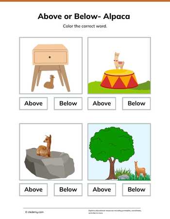 Above or Below- Alpaca
