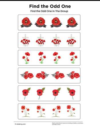 Find the Odd One- Remembrance Day