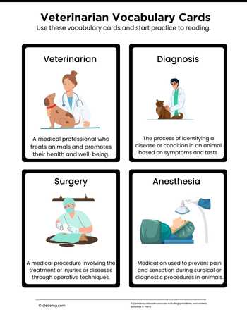 Veterinarian Vocabulary Cards