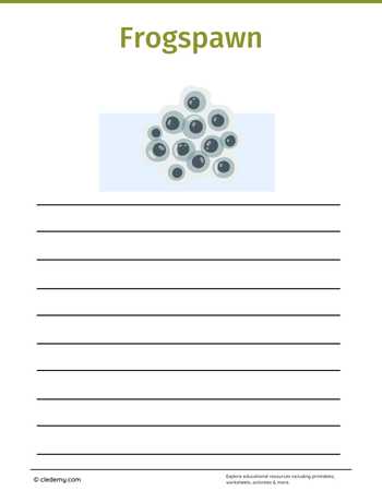 worksheet
