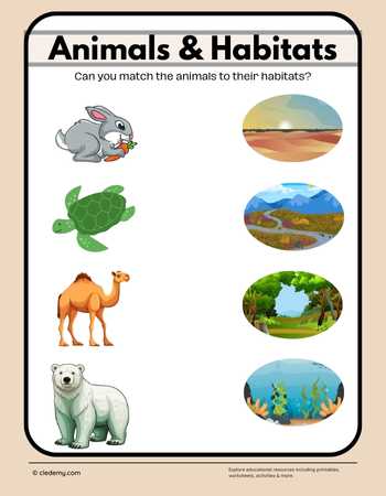 Animal Home Matching