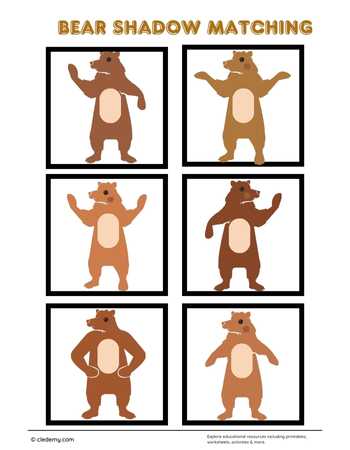 Find the Bear's Shadow