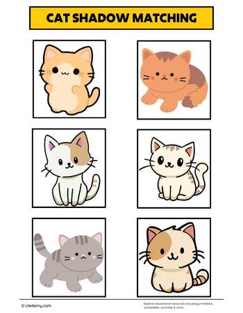 Kitty Shadows Matching
