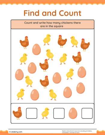 Find and Count- Chicken
