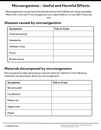 Microorganisms-Useful and Harmful Effects
