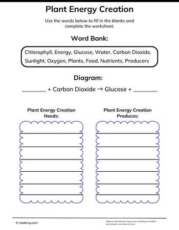 Questions Plant Energy Creation