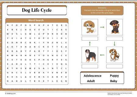 Dog Life Cycle Word Search