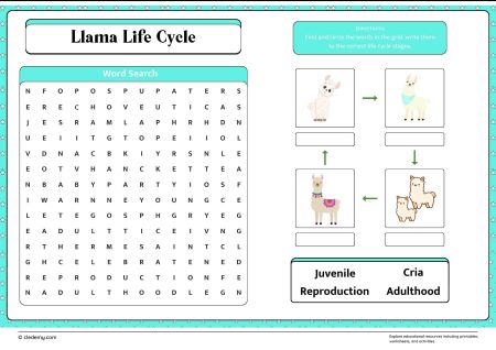 Llama Life Cycle Word Search