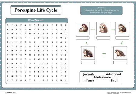Porcupine Life Cycle Word Search