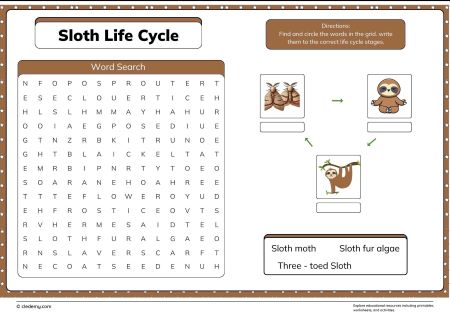 Sloth Life Cycle Word Search