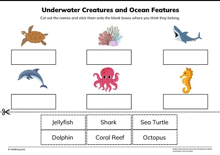 Underwater Creatures and Ocean Features