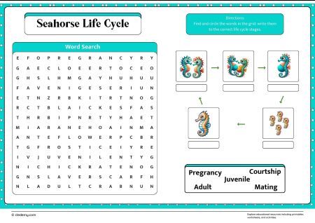 Seahorse Life Cycle Word Search