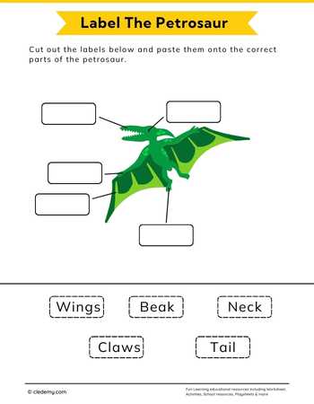 Label the Pterosaur