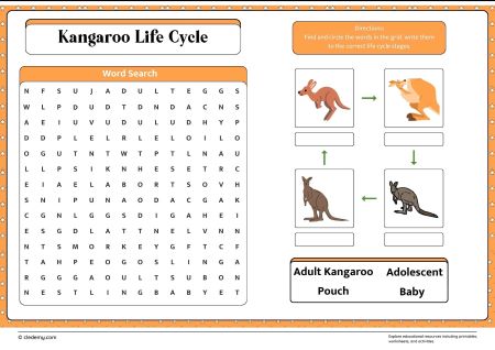 Kangaroo Life Cycle Word Search