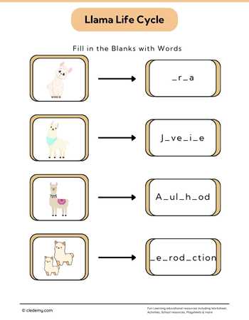 Llama Life Cycle: Fill in The Blanks