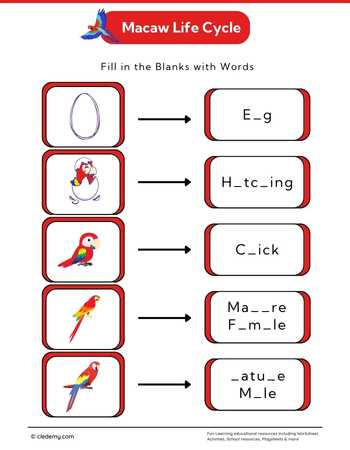 worksheet