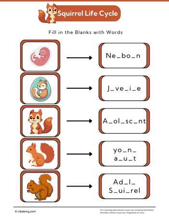 Squirrel Life Cycle: Fill in The Blanks