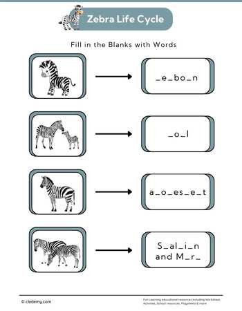 Zebra Life Cycle: Fill in The Blanks