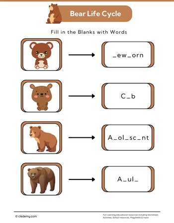 Bear Life Cycle: Fill in The Blanks