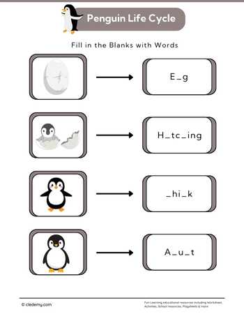 Penguin Life Cycle: Fill in The Blanks