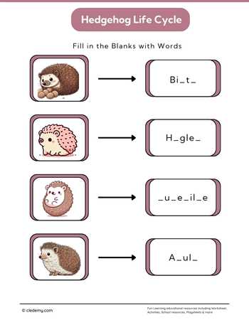 Hedgehog Life Cycle: Fill in The Blanks