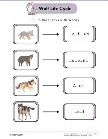 Wolf Life Cycle: Fill in The Blanks