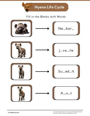 Hyena Life Cycle: Fill in The Blanks
